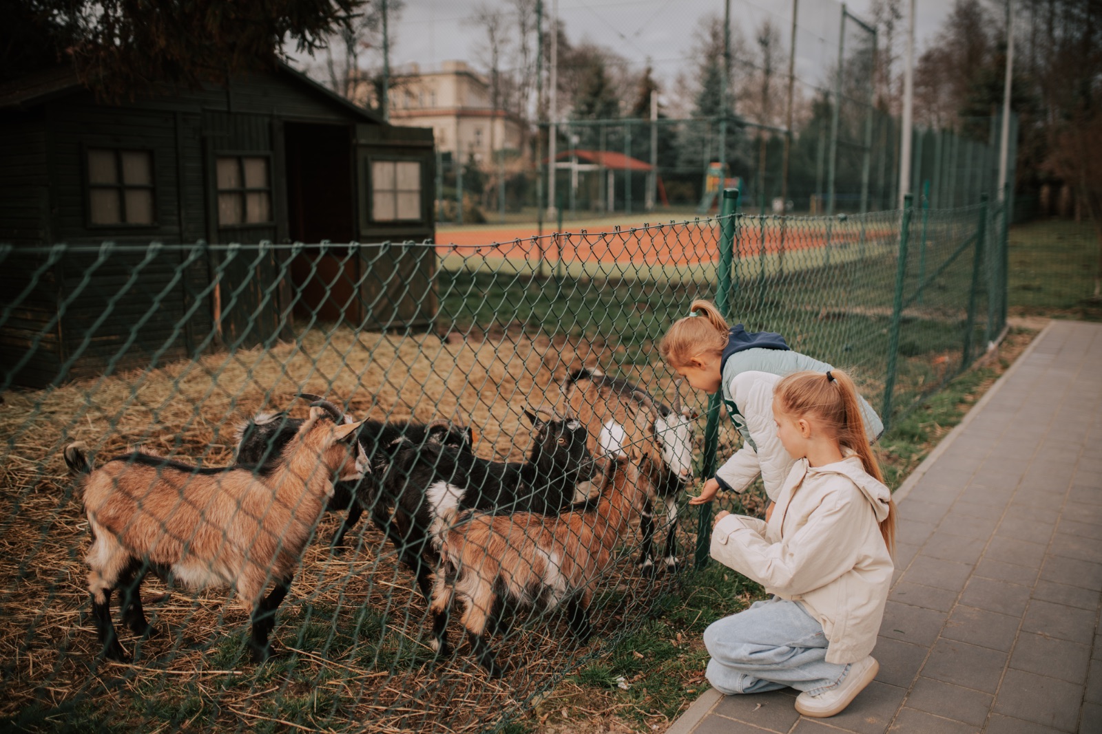 Une fête d'enfant avec des animations - aire de jeux et mini-zoo