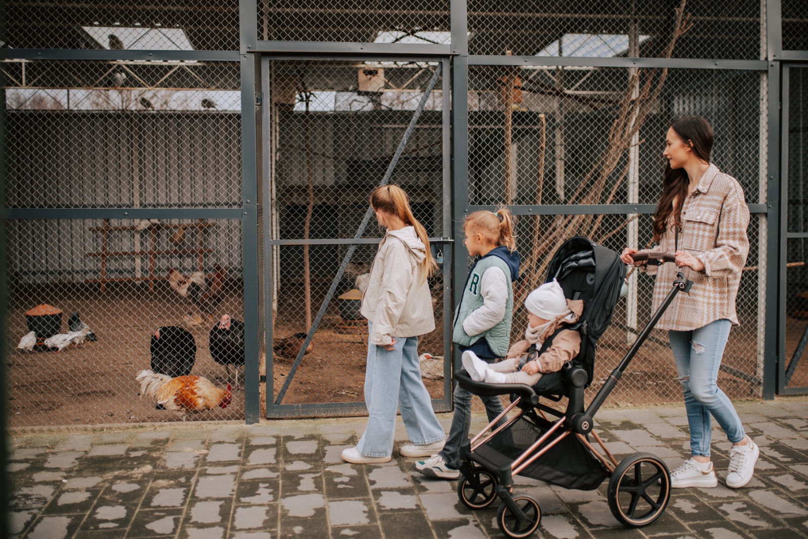 Mini zoo w Toscanii - dzieci karmią kozy
