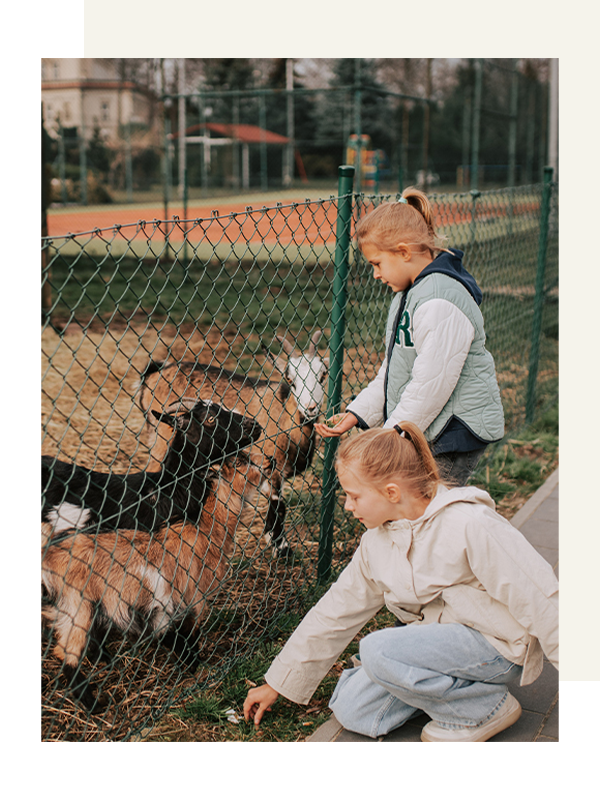 Kinder füttern Ziegen am Spielplatz und Mini-Zoo des Hotels Toscania
