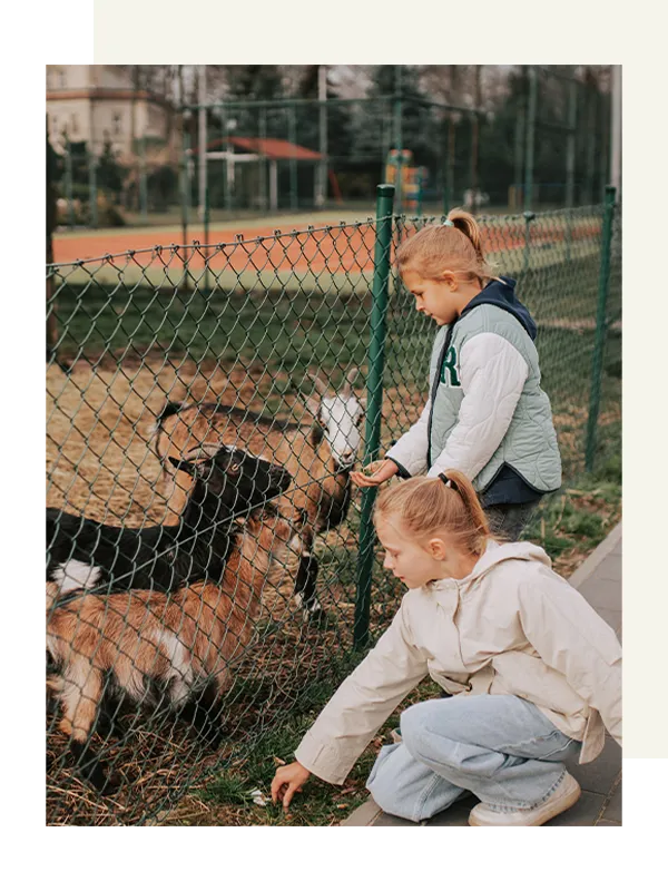 Children feeding goats by the playground and mini zoo of Hotel Toscania
